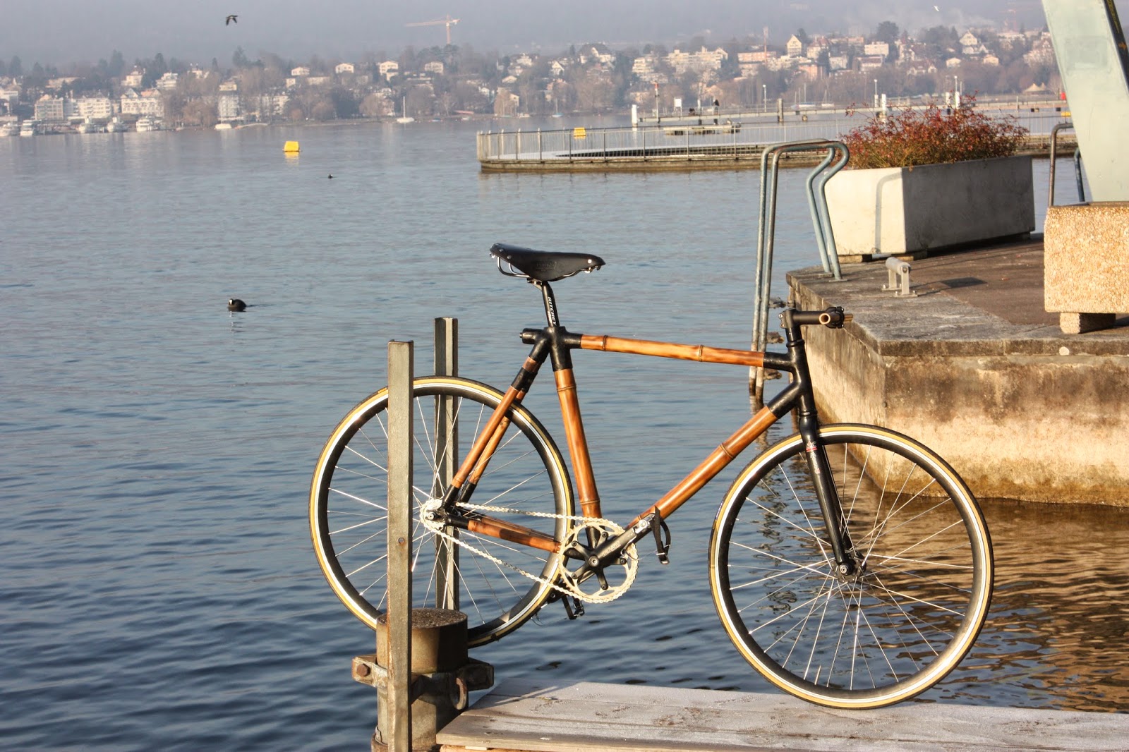 bamboo bike